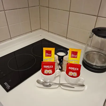Dina 1