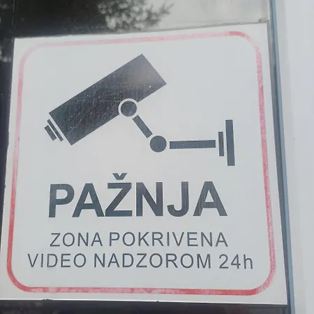 Dina 1 *